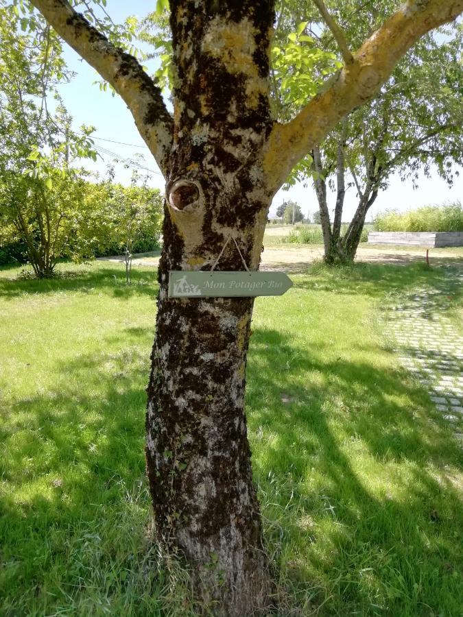 La Planche Princee, Chambres D'Hotes Ecolo Et Potager Bio, Sauna Les Rosiers Екстериор снимка